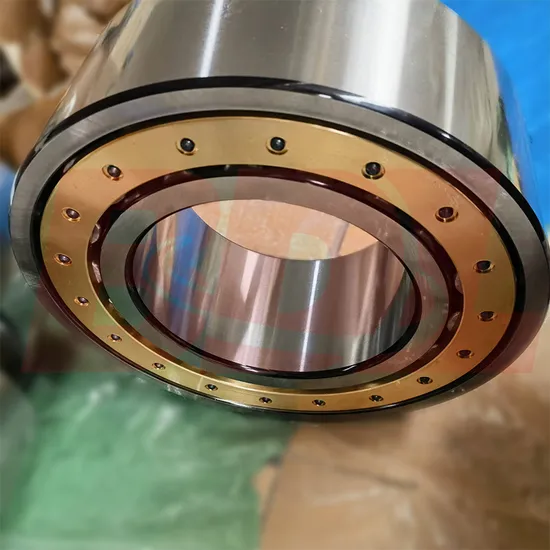 3004244m-Bearing-Cylindrical-Roller-Bearing-