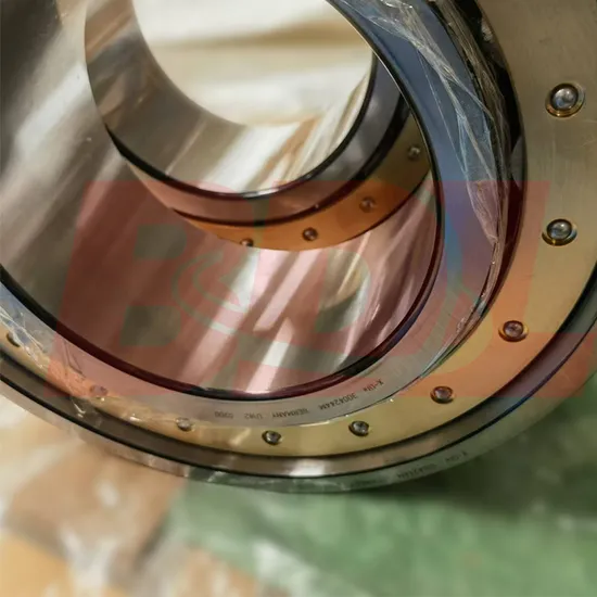 3004244m-Bearing-Cylindrical-Roller-Bearing-