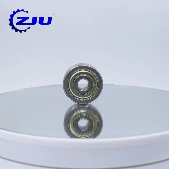 6306 Ball Bearing Stainless P4 Creep-Free for E-Bikes