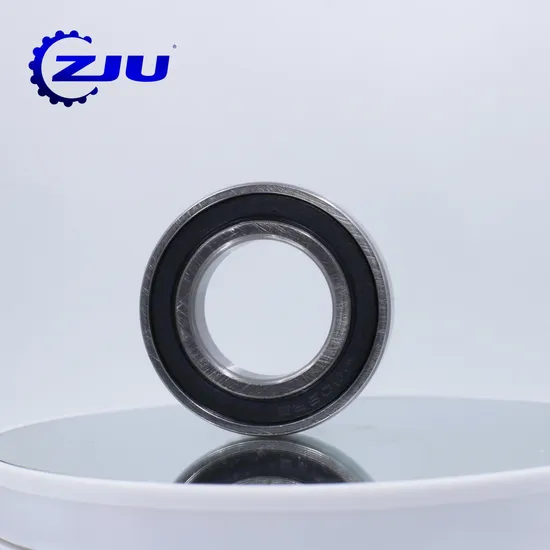 Max Type Deep Groove Ball Bearing, Cageless, Bike-Optimized