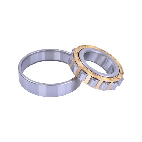 Sports-Apparatus-Nj2219-95mm-170mm-43mm-Cylindrical-Roller-Bearing