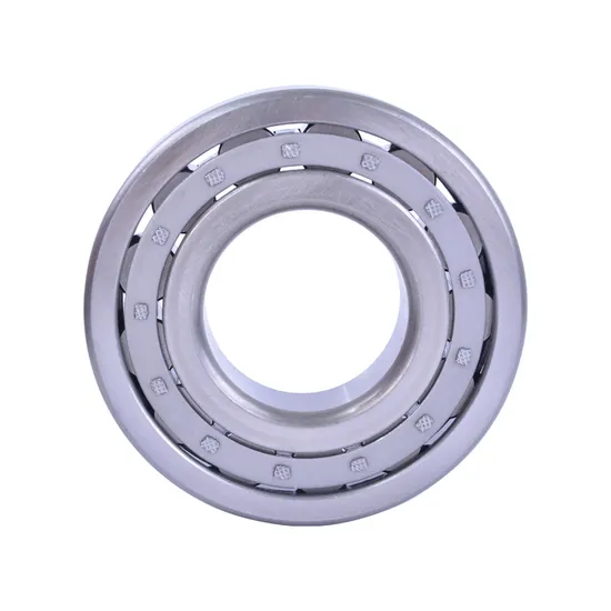 Sports-Apparatus-Nj2219-95mm-170mm-43mm-Cylindrical-Roller-Bearing