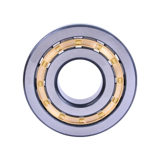 Sports-Apparatus-Nj2219-95mm-170mm-43mm-Cylindrical-Roller-Bearing