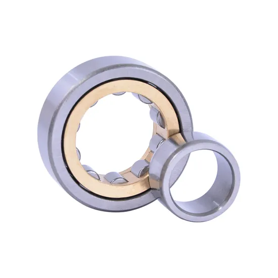 Sports-Apparatus-Nj2219-95mm-170mm-43mm-Cylindrical-Roller-Bearing